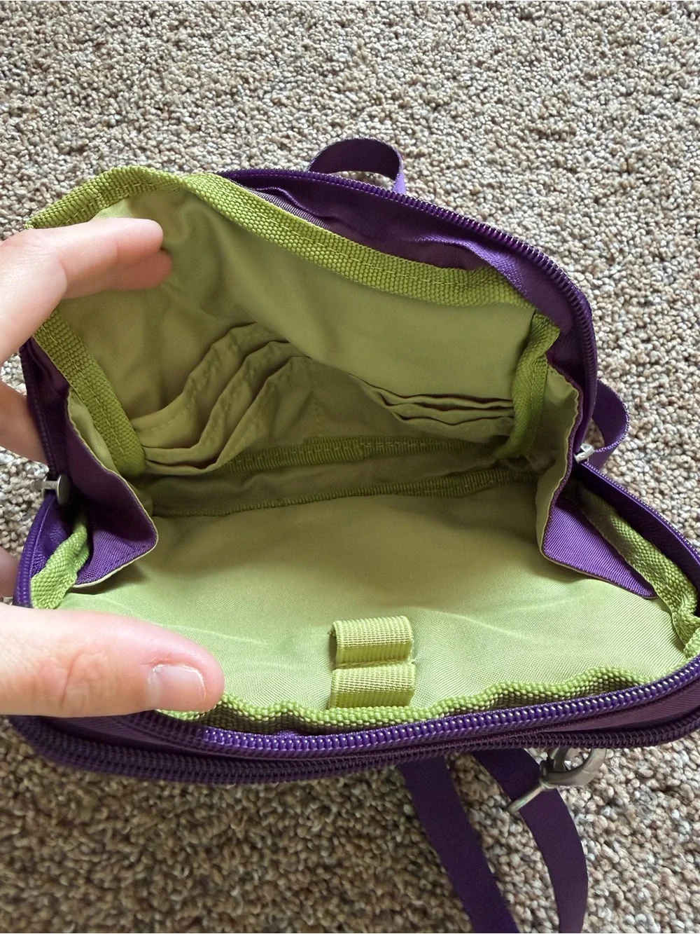 BAGGALLINI Plum Purple Nylon Zippered Crossbody Shoulder Bag